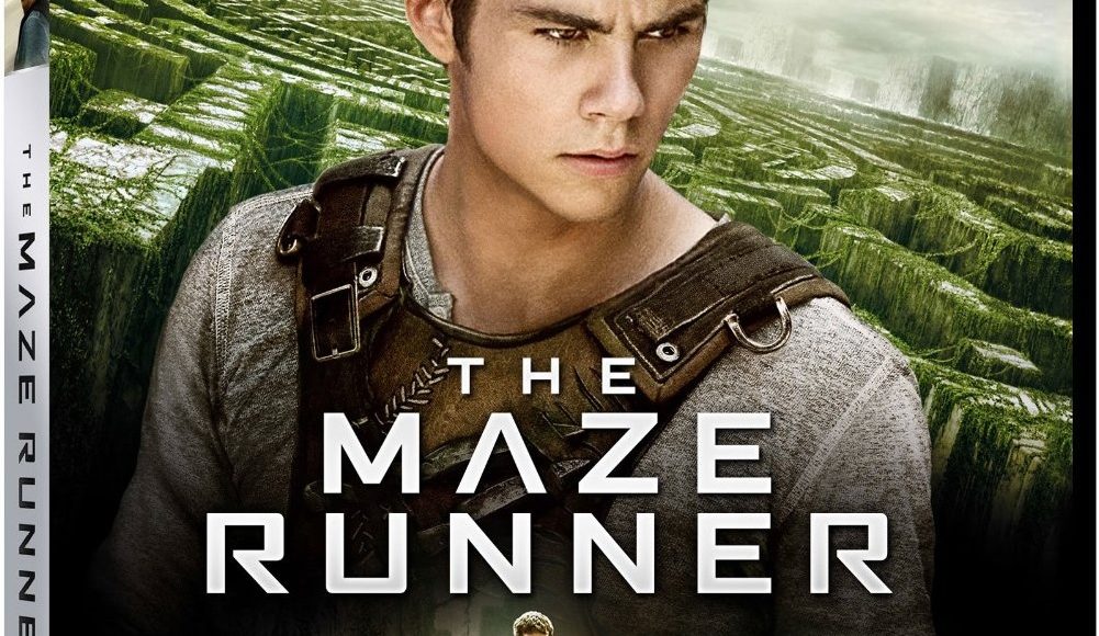 maze