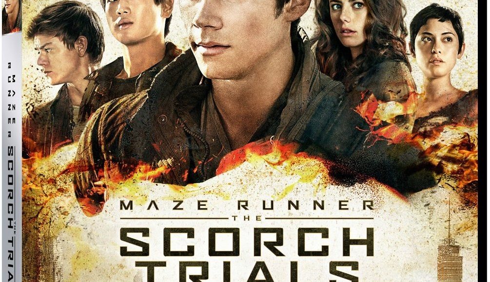 maze 2